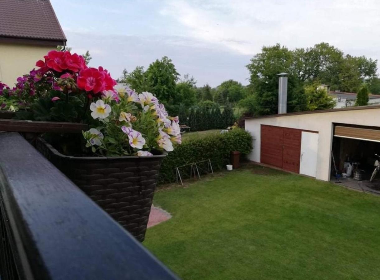 Willa Anka Jastrzębia Góra Exterior foto